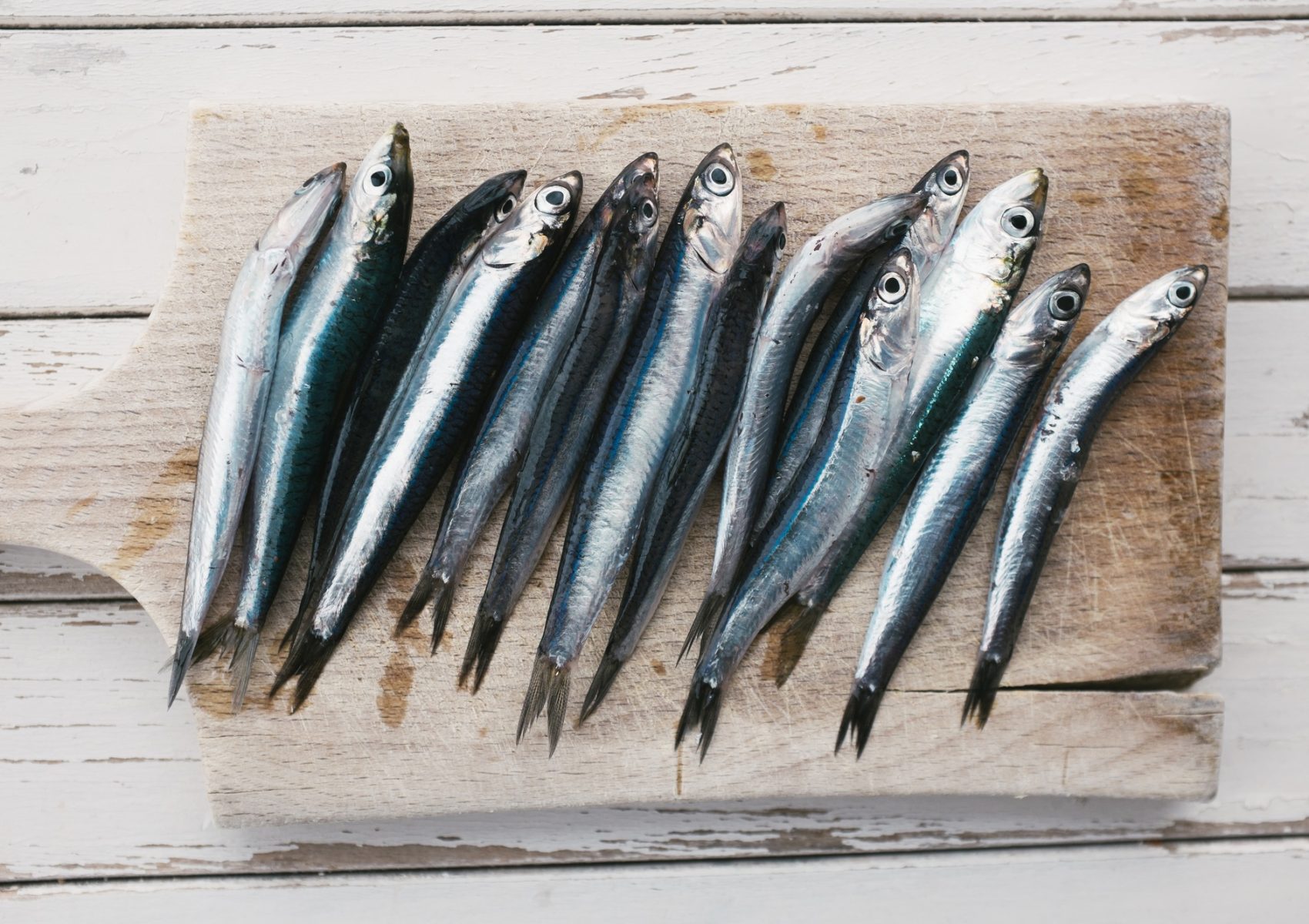 Fresh anchovies