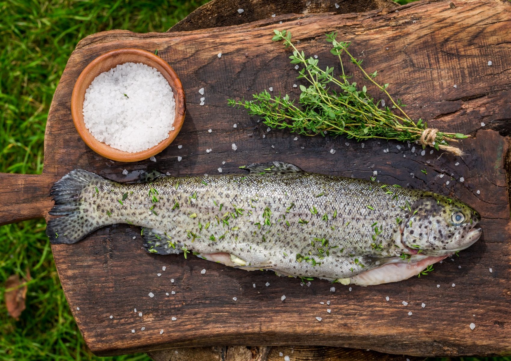 Fresh whole trout in the summer garden