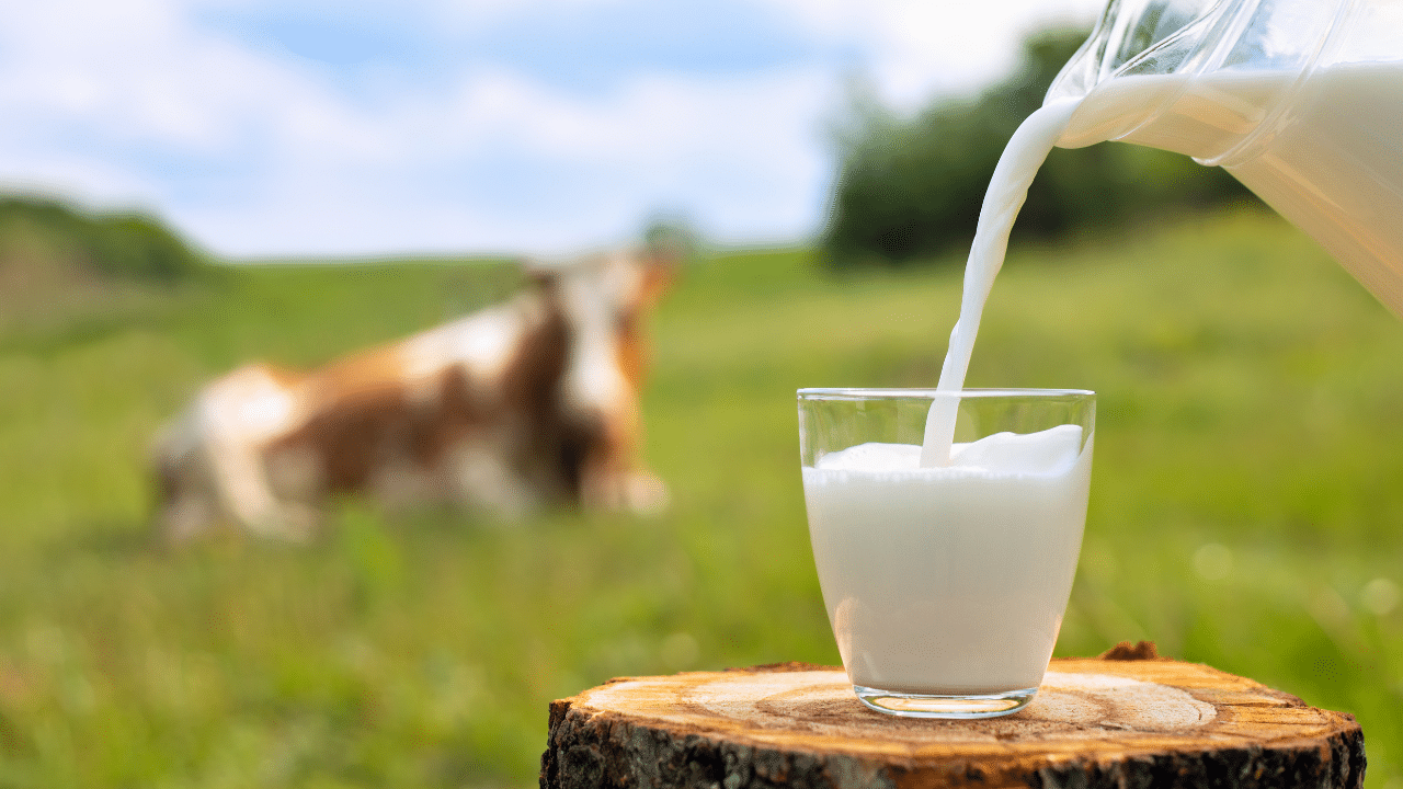 le lait est inflammatoire