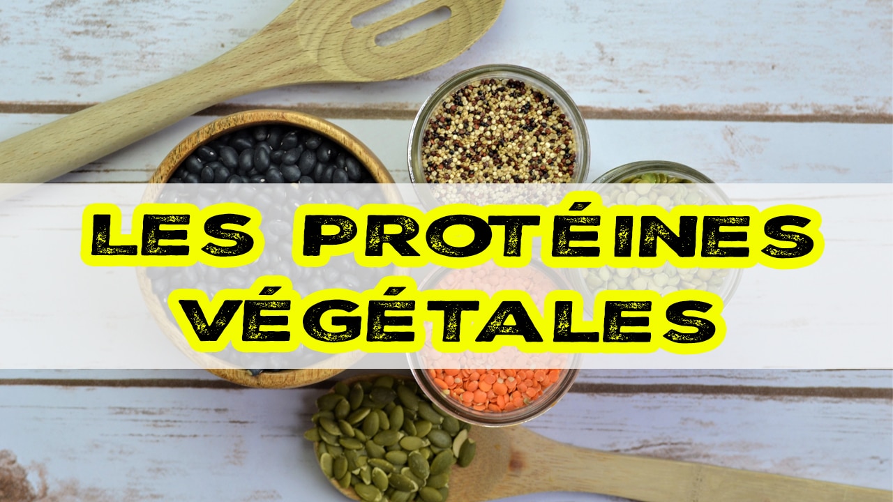 ProtÉines VÉgÉtales Voici 8 Aliments Riches En Protéines Végétales Bmoove 2338